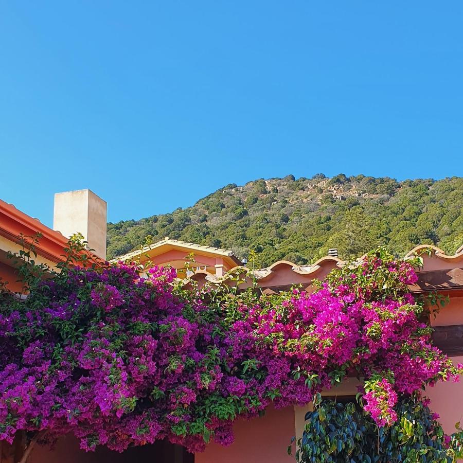 B&B La Vela 키아 외부 사진